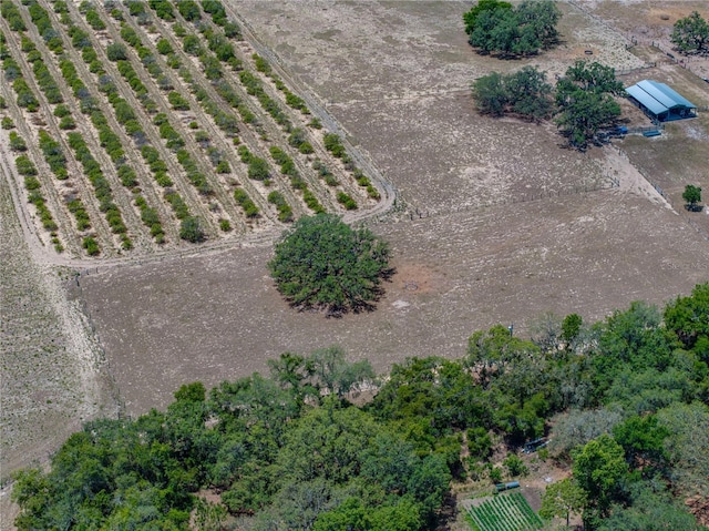 10790 Jim Edwards Rd, Haines City, FL 33844 - photo 8