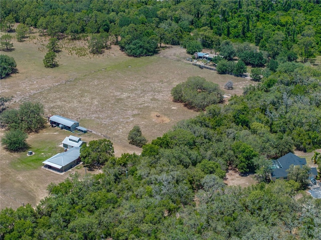10790 Jim Edwards Rd, Haines City, FL 33844 - photo 12