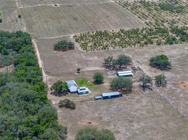 10790 Jim Edwards Rd, Haines City, FL 33844 - photo 14