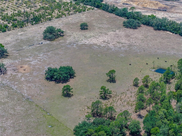 10790 Jim Edwards Rd, Haines City, FL 33844 - photo 16