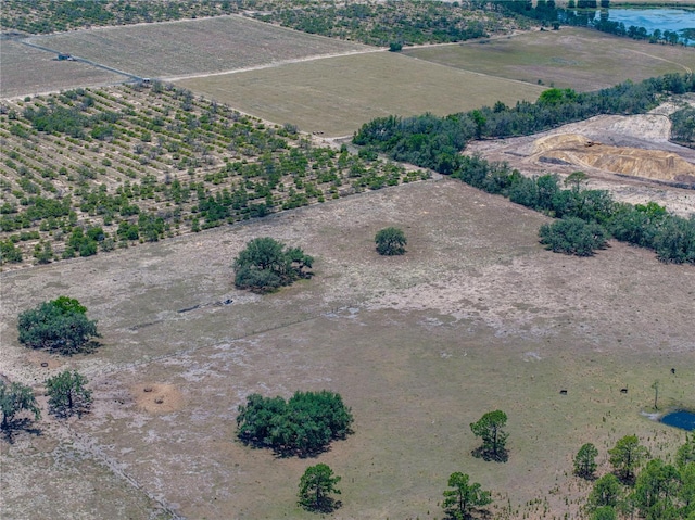 10790 Jim Edwards Rd, Haines City, FL 33844 - photo 17