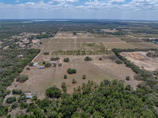 10790 Jim Edwards Rd, Haines City, FL 33844 - photo 21