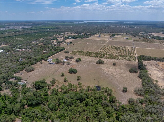 10790 Jim Edwards Rd, Haines City, FL 33844 - photo 22