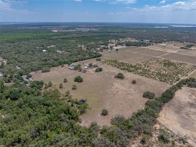 10790 Jim Edwards Rd, Haines City, FL 33844 - photo 23