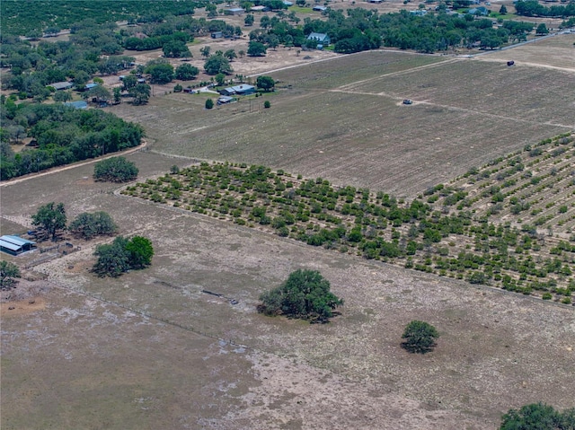 10790 Jim Edwards Rd, Haines City, FL 33844 - photo 24