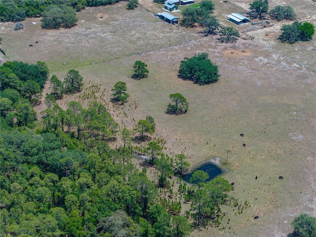 10790 Jim Edwards Rd, Haines City, FL 33844 - photo 27
