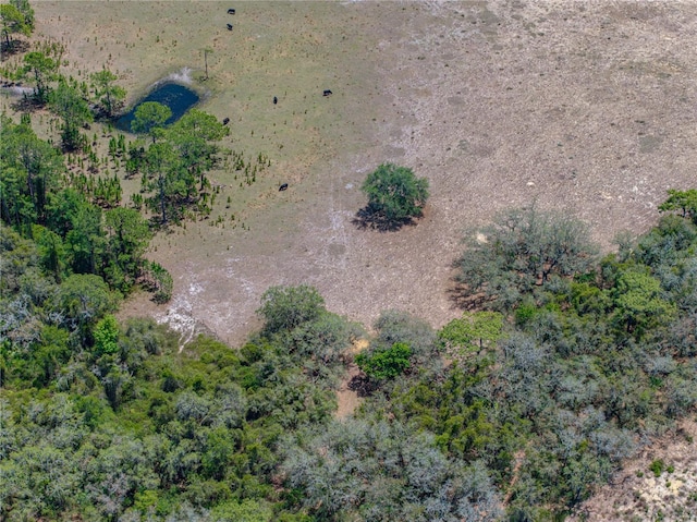 10790 Jim Edwards Rd, Haines City, FL 33844 - photo 29