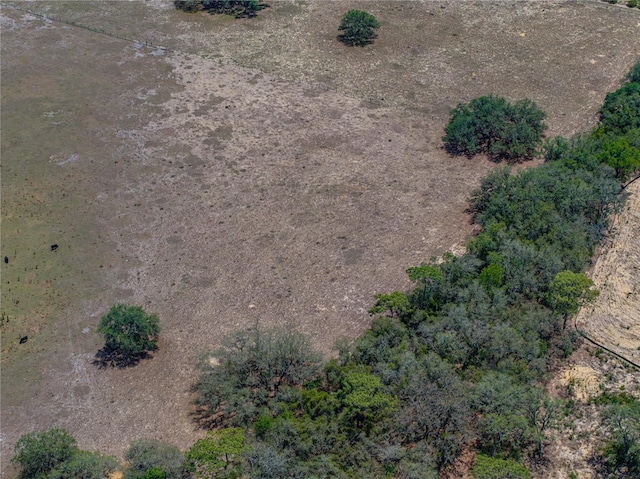 10790 Jim Edwards Rd, Haines City, FL 33844 - photo 30