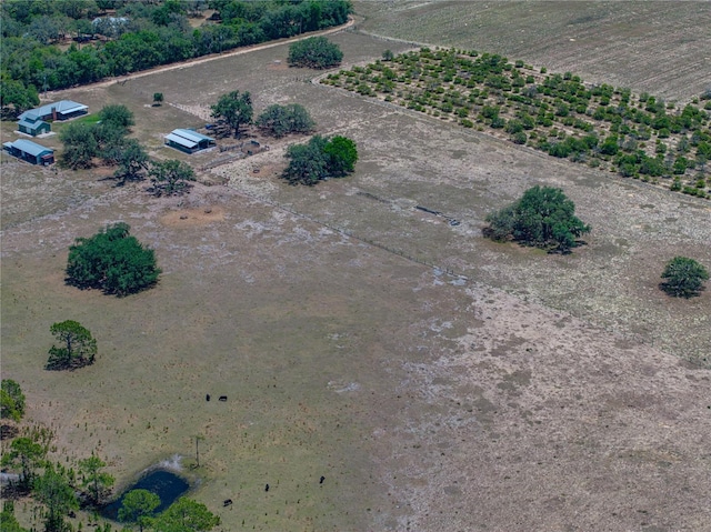 10790 Jim Edwards Rd, Haines City, FL 33844 - photo 34