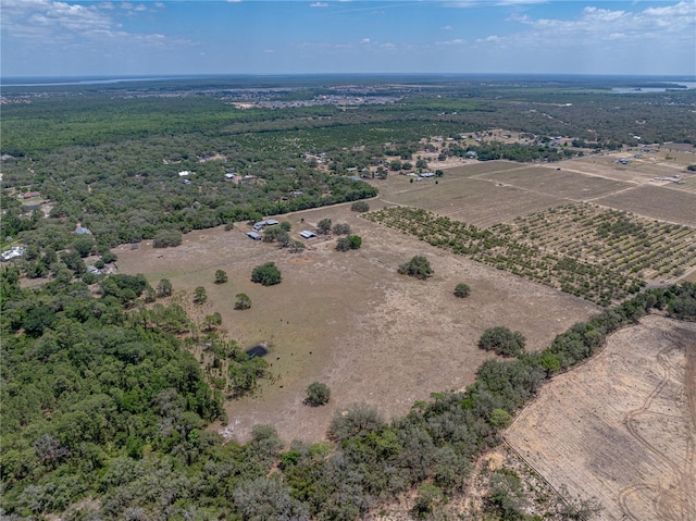 10790 Jim Edwards Rd, Haines City, FL 33844 - photo 36