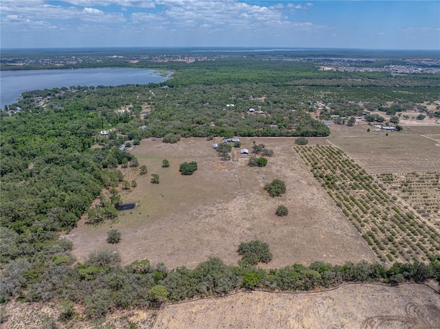 10790 Jim Edwards Rd, Haines City, FL 33844 - photo 37