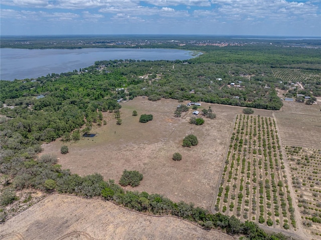 10790 Jim Edwards Rd, Haines City, FL 33844 - photo 38