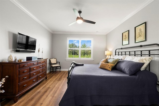 7953 Lake James Blvd, Lakeland, FL 33810 - photo 24
