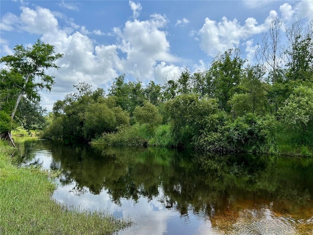 307 Garden Dr, Wauchula, FL 33873 - photo 52
