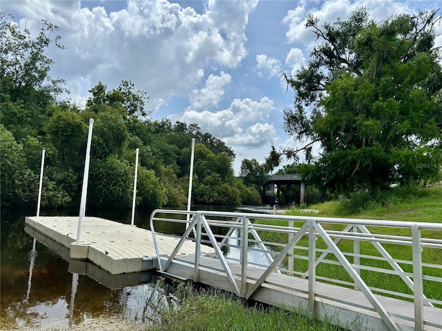 307 Garden Dr, Wauchula, FL 33873 - photo 53