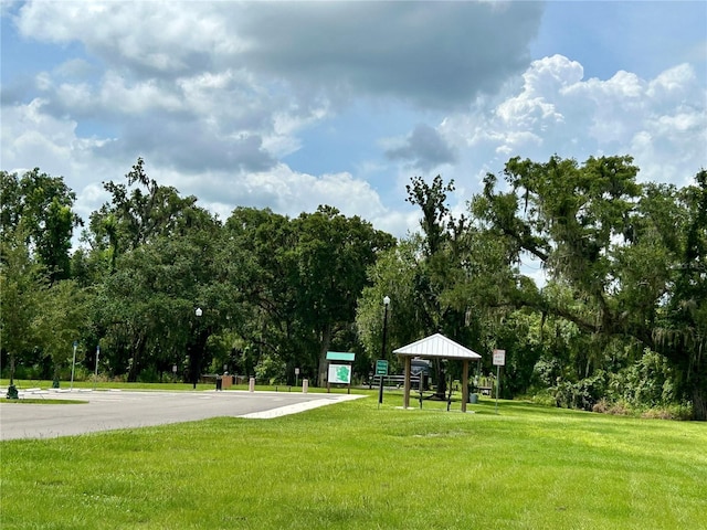 307 Garden Dr, Wauchula, FL 33873 - photo 58
