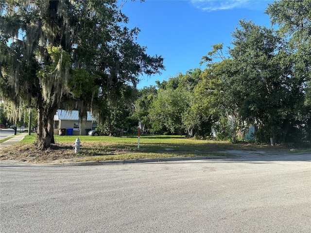 921 W King St, Kissimmee, FL 34741 - photo 5