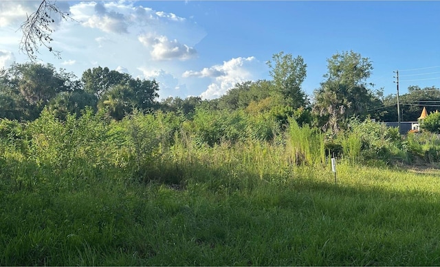0 Butler Ave, Kissimmee, FL 34741 - photo 3