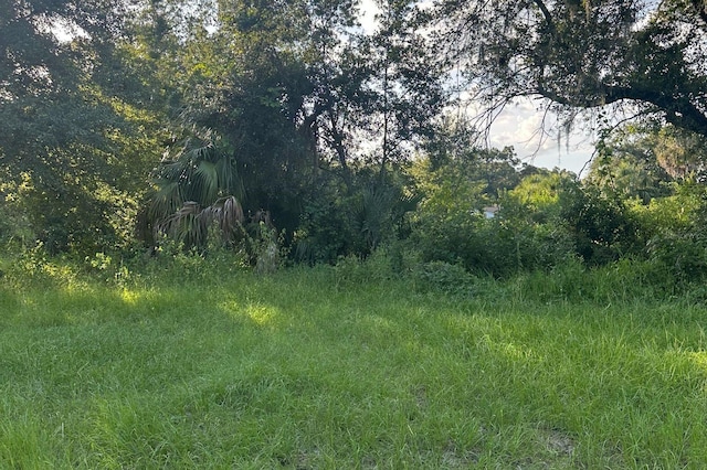 0 Butler Ave, Kissimmee, FL 34741 - photo 6