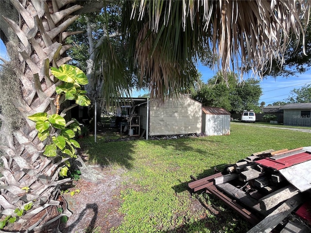 1319 Florida Ave, Saint Cloud, FL 34769 - view of green lawn with a storage shed