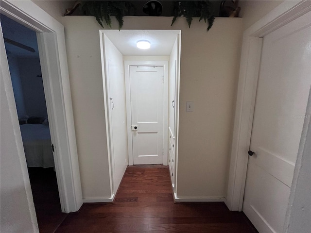 1319 Florida Ave, Saint Cloud, FL 34769 - corridor featuring dark wood-type flooring and baseboards