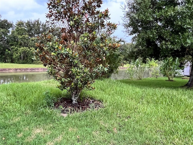 945 Classic View Dr, Auburndale, FL 33823 - photo 13