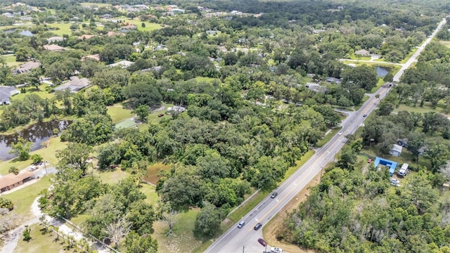 19701 Livingston Ave, Lutz, FL 33559 - photo 2