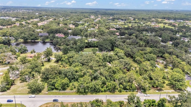 19701 Livingston Ave, Lutz, FL 33559 - photo 3
