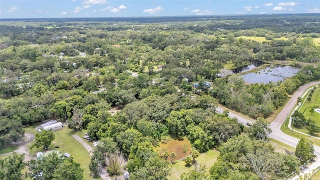 19701 Livingston Ave, Lutz, FL 33559 - photo 4