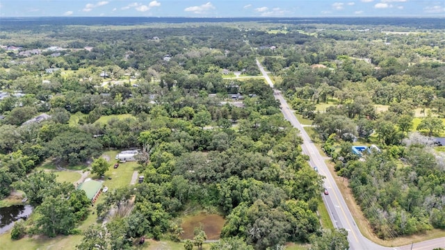 19701 Livingston Ave, Lutz, FL 33559 - photo 5