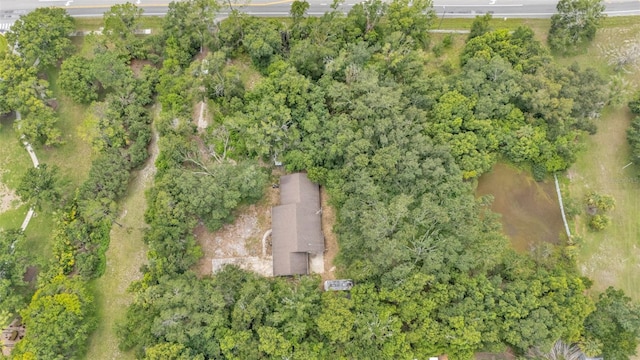 19701 Livingston Ave, Lutz, FL 33559 - photo 7