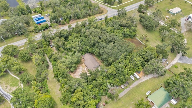 19701 Livingston Ave, Lutz, FL 33559 - photo 8