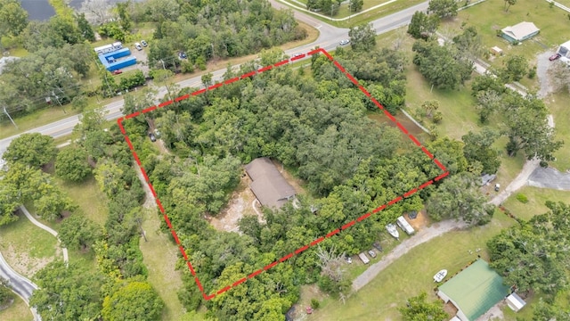 19701 Livingston Ave, Lutz, FL 33559 - photo 10