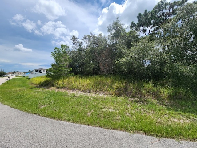 1941 Michigan Ct, Kissimmee, FL 34759 - photo 3