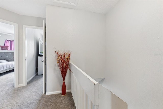 5137 Piccadilly Circus Ct Unit 3, Orlando, FL 32839 - photo 31
