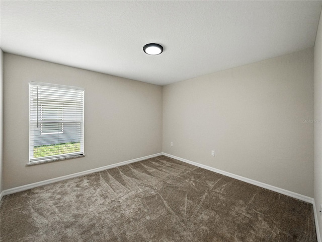 1810 W Marjorie St, Lakeland, FL 33815 - photo 18