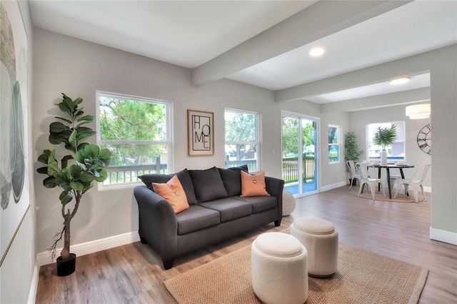 300 Freeport Ave NE, Saint Petersburg, FL 33702 - photo 22
