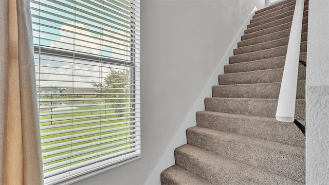 1455 Silver Leaf Dr, Lakeland, FL 33813 - photo 46