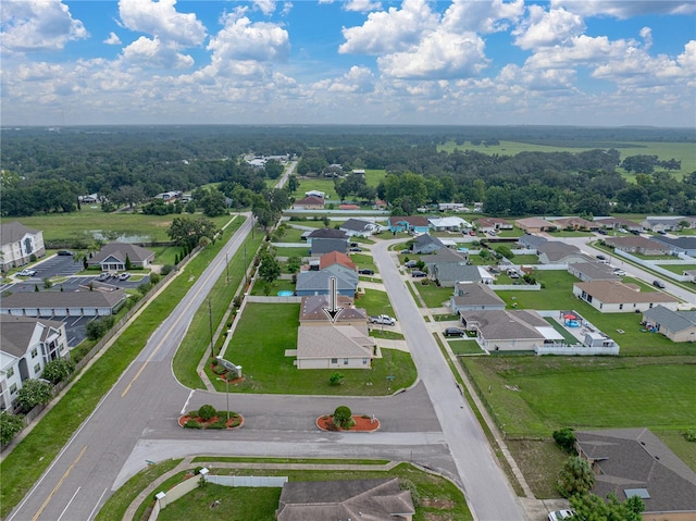 4532 Great Blue Heron Dr, Lakeland, FL 33812 - photo 45