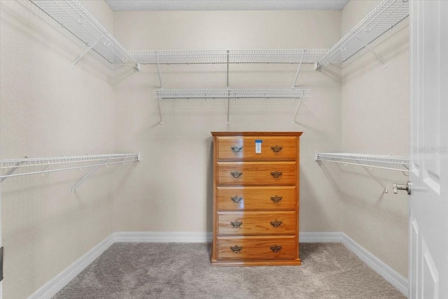1041 S Blvd, Lakeland, FL 33803 - photo 42