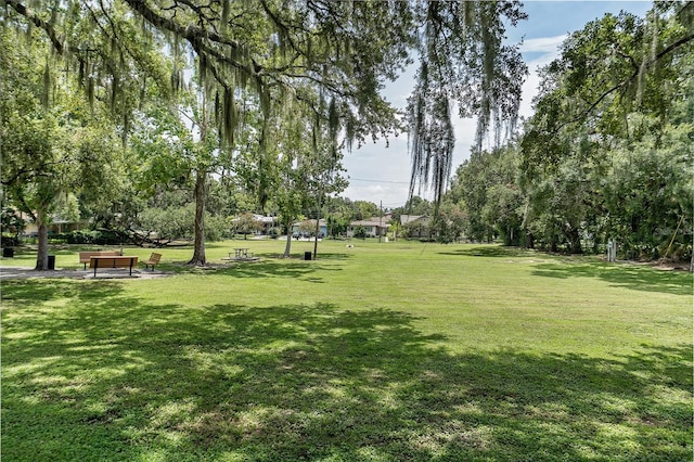 131 E Poinsettia St, Lakeland, FL 33803 - photo 24