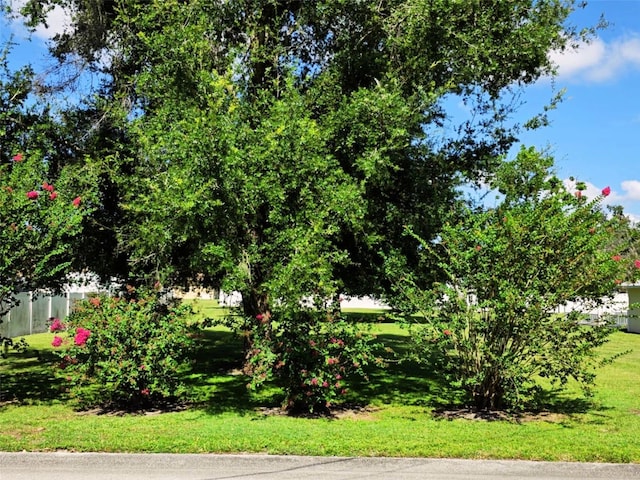 N Polk Ave, Fort Meade, FL 33841 - photo 2