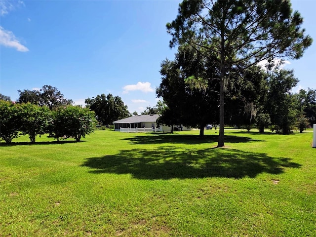 N Polk Ave, Fort Meade, FL 33841 - photo 5