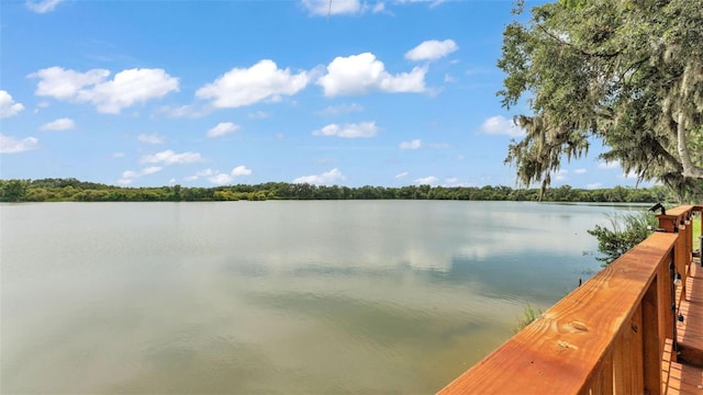 4565 Fairway Oaks Dr, Mulberry, FL 33860 - photo 53