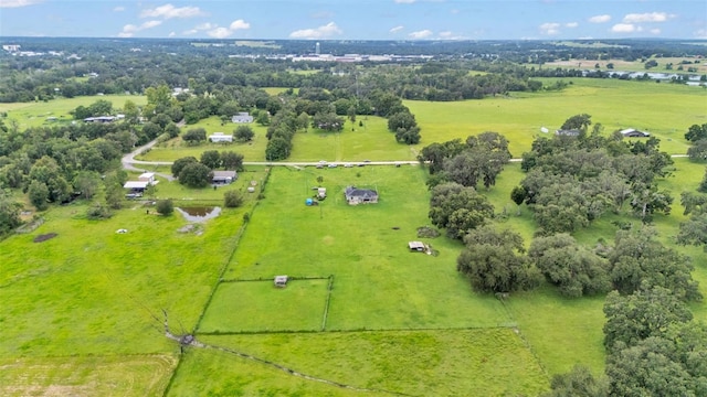39360 Sparkman Rd, Dade City, FL 33525 - photo 29