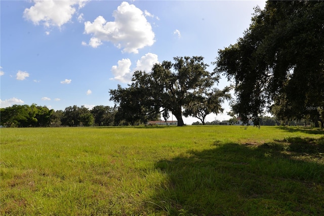 3510 Gandy Rd, Bartow, FL 33830 - photo 35