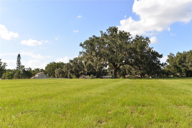 3510 Gandy Rd, Bartow, FL 33830 - photo 37