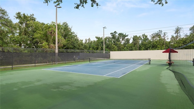 5718 Hawklake Rd, Lithia, FL 33547 - photo 48