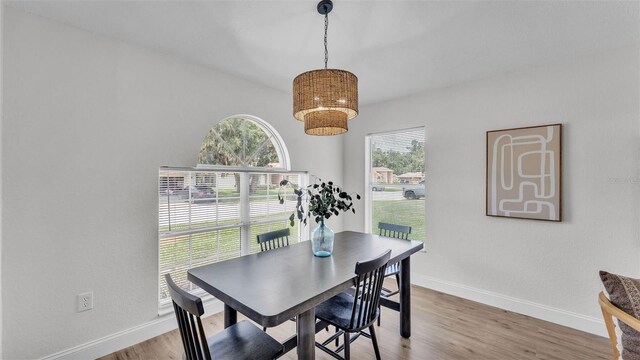 6560 Shepherd Oaks Rd, Lakeland, FL 33811 - photo 7