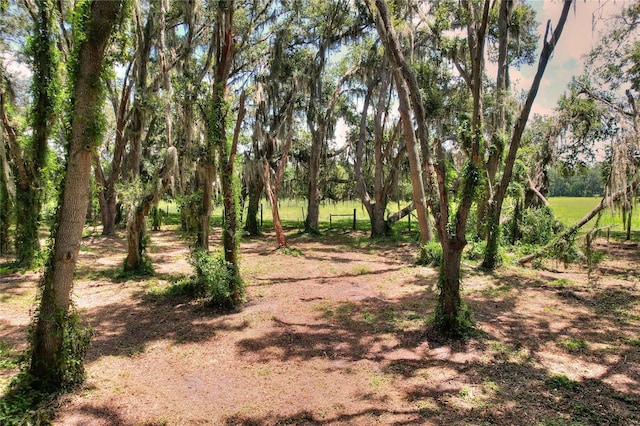 8825 Selph Rd, Lakeland, FL 33810 - photo 69